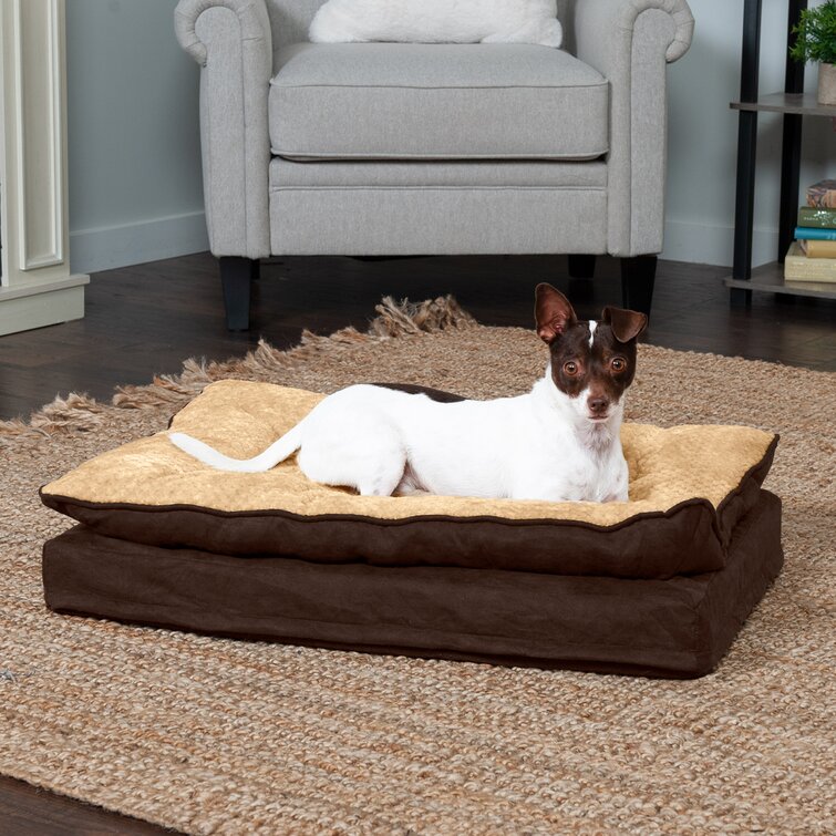 Best orthopedic dog outlet bed for large dogs